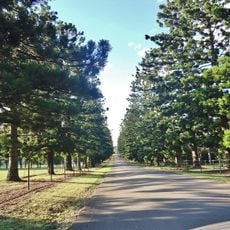 Prospect Nature Reserve