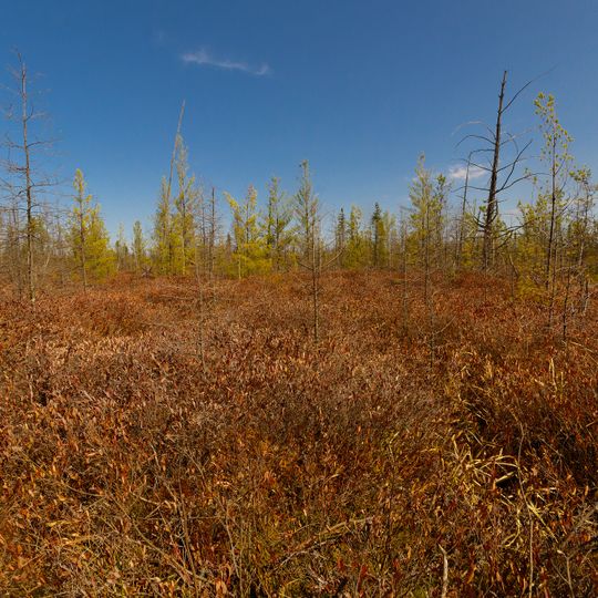 Dewey Marsh, Wisconsin