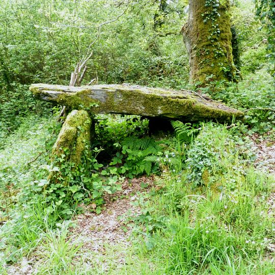 Allée couverte de Kervoulédic