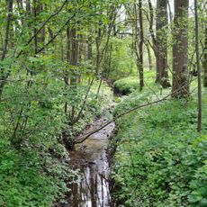 Tal der Kleinen Werre