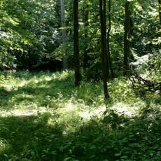 NSG Wälder bei Cappenberg-West