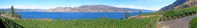 Panoramik Görünüm 1