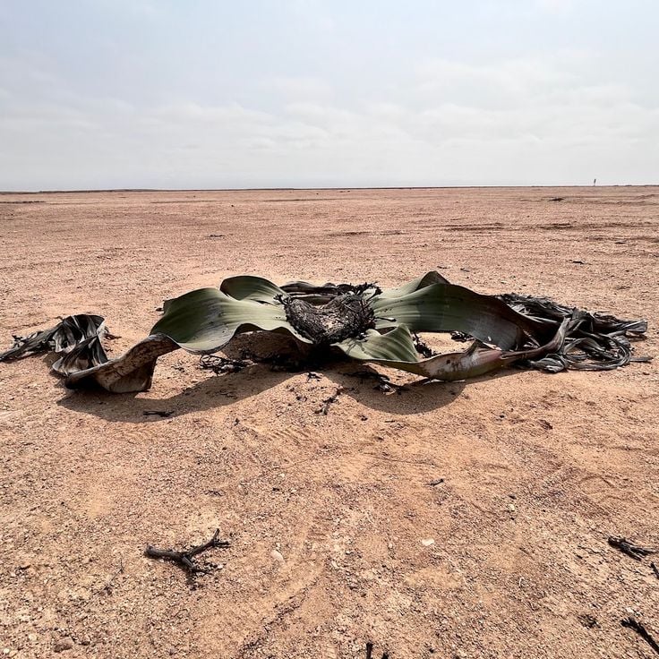 Milando Natural Reserve