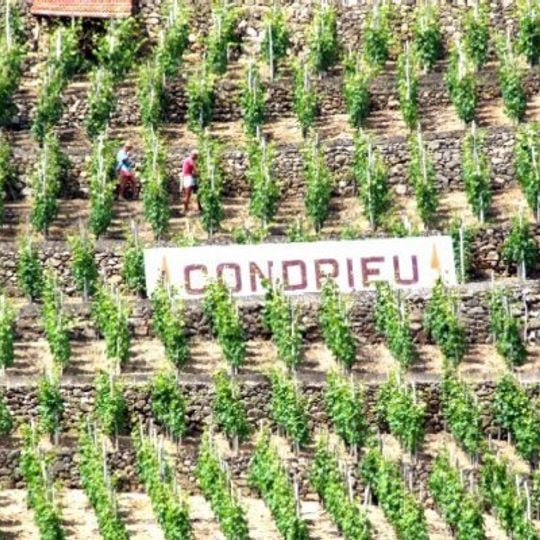 Condrieu AOC