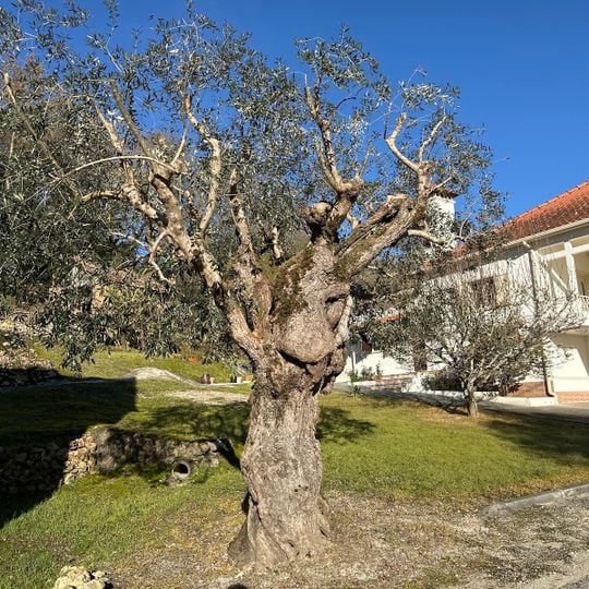 Albergaria dos Doze