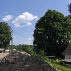 Lípy v Maršovicích