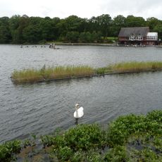 Llandrindod Lake