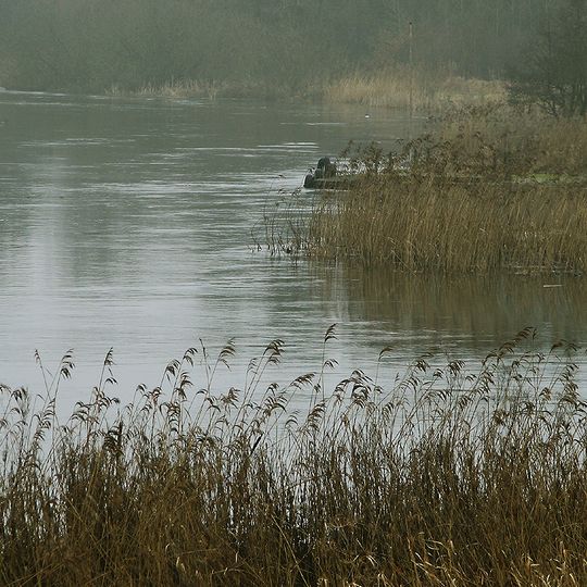 Gudenå