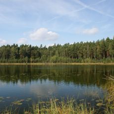 Rezerwat przyrody Jezioro Martwe (województwo kujawsko-pomorskie)