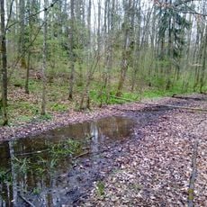Naturdenkmal Feuchtgebiet an der Keltenschanze Gemeindewald Distr. II, Gelbrunn