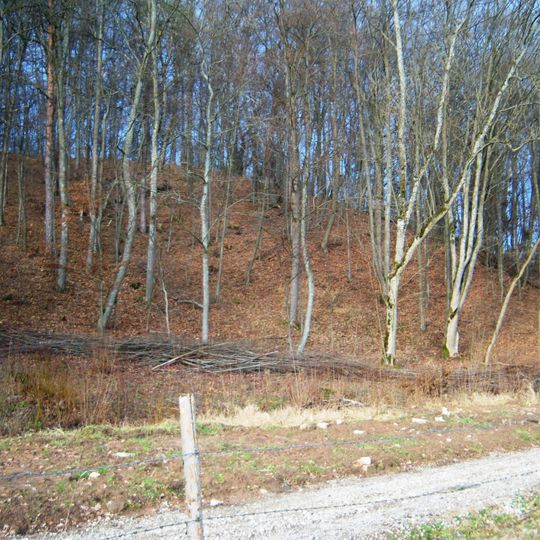 Nevėžis Landscape Reserve