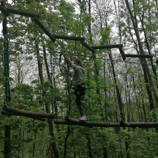 Verticabana