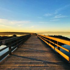 Hayward Regional Shoreline