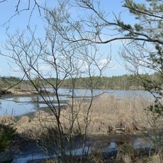 LSG Ainringer und Peracher Moos