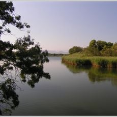 Les étangs de Villepey