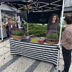 Porto Belo Flea Market