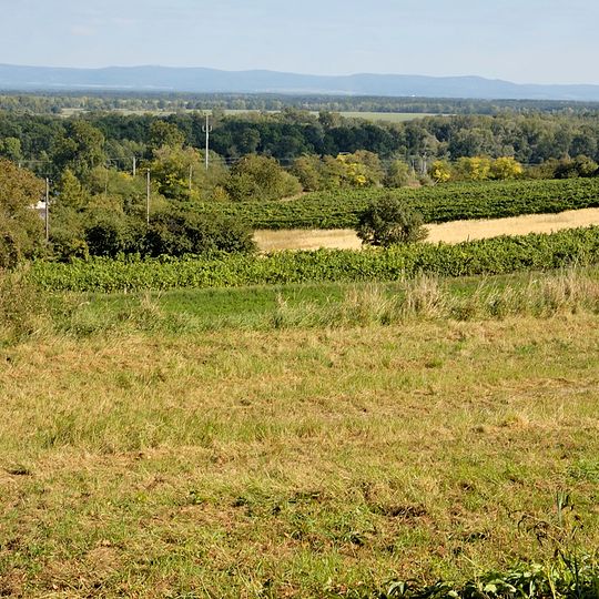 Befestigte Höhensiedlung Kirchenberg