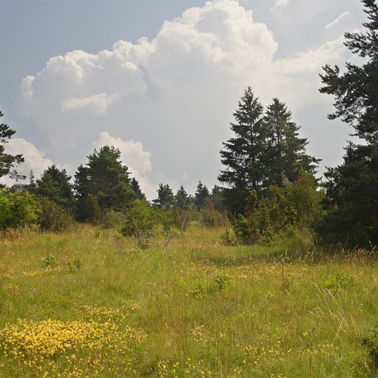 Steinberg-Dürrenfeld