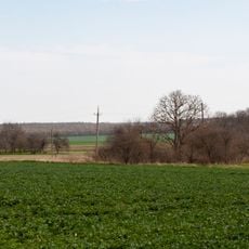 Dobrovidka, Shmankivtsi