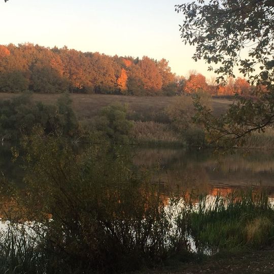 Надеждинський