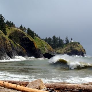 Parco Statale Cape Disappointment