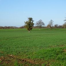 Roman fort and outworks 550yds SW of Canon Frome Court