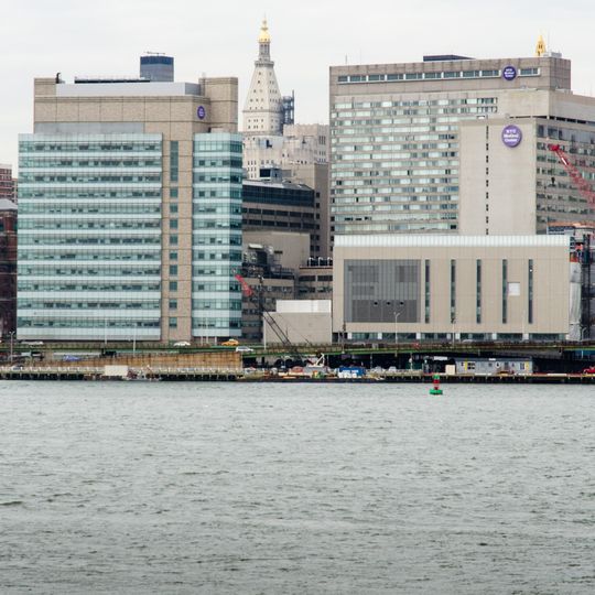 New York University School of Medicine