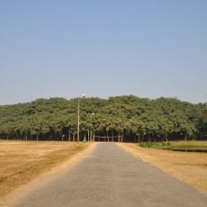 The Great Banyan