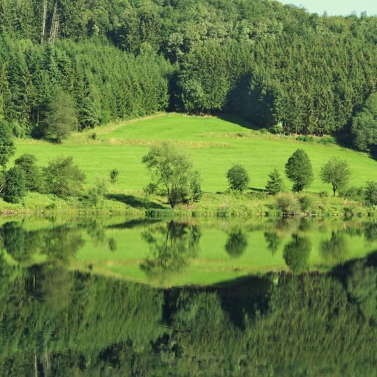 Wald zwischen Dedenborn und Rurberg