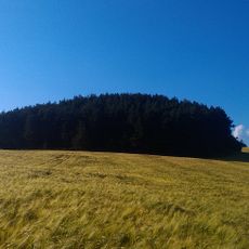 Hrushvytskyi Nature Reserve