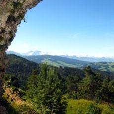 Neu-Toggenburg castle ruin