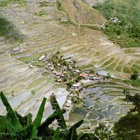 Cordillera Administrative Region
