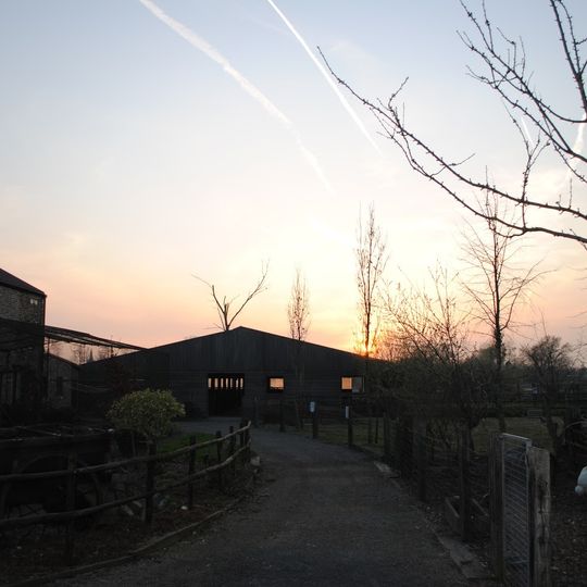 Kakelend Kippenmuseum