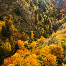 Steneto Biosphere Reserve