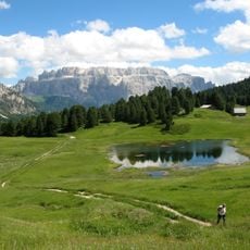 Lech Sant