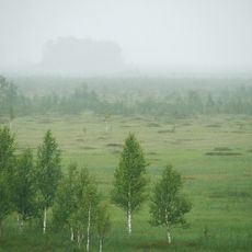 Polistovsky Nature Reserve