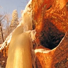 Piķenes krauja un alas