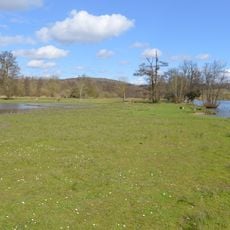 Temple Island Meadows