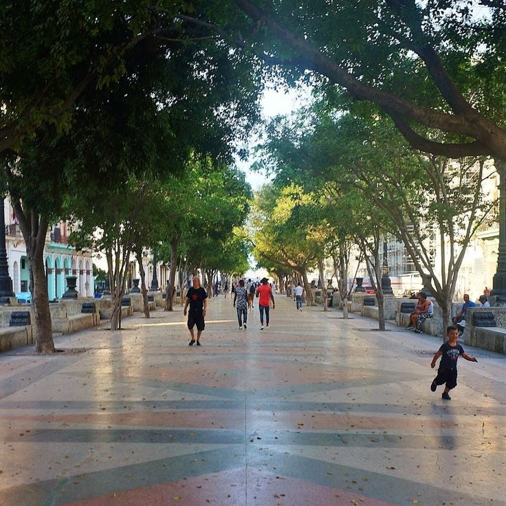 Paseo del Prado
