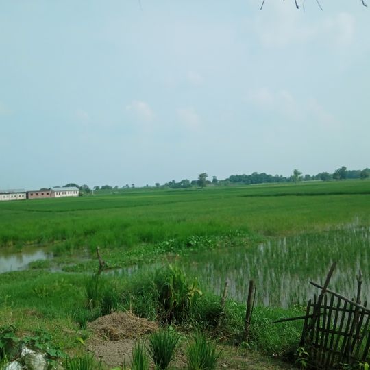 Rautahat