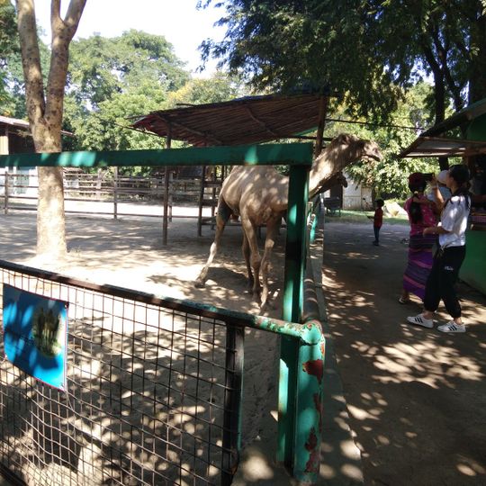 Yadanarpon Zoo