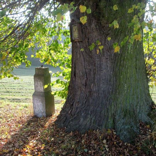 Obrázek na památné lípě západně od Podruhlí