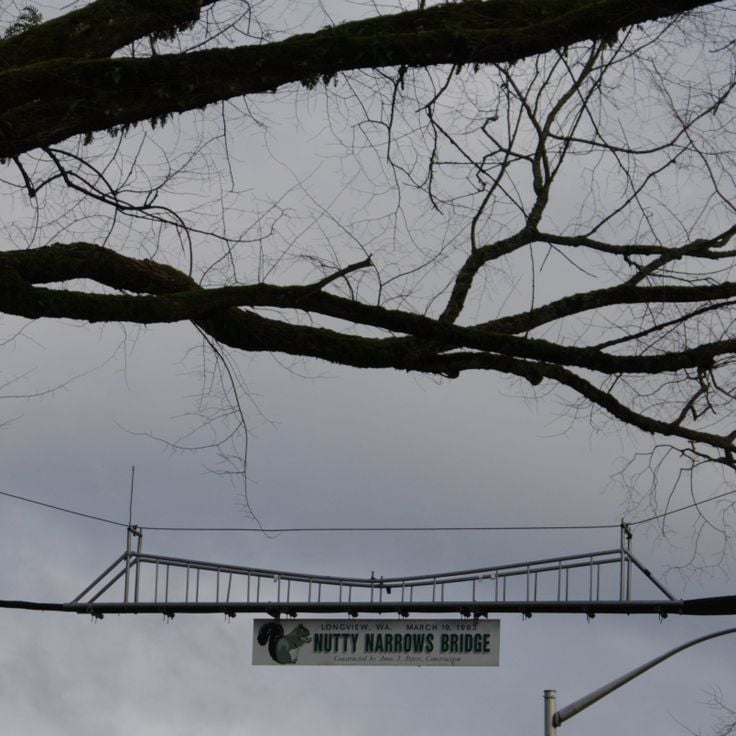 Nutty Narrows Bridge