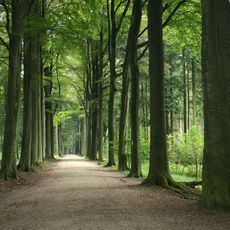 Geografisch Arboretum