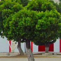 Departamento de Norte de Santander