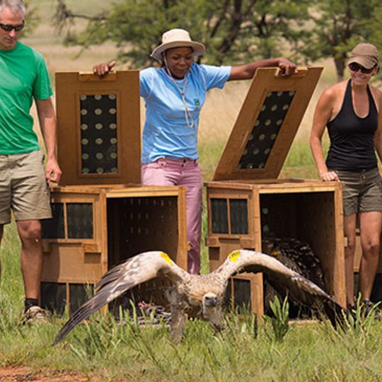 Vulpro Rehabilitation Centre