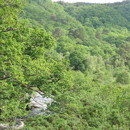 Ariundle Oakwood National Nature Reserve