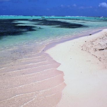 Les plus belles plages naturelles des Caraïbes : entre sable blanc, tortues et lagons turquoise