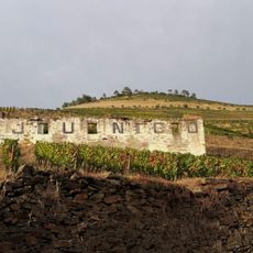 Quinta do Junco