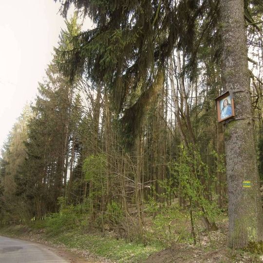 Obrázek Panny Marie u Velkých Losin